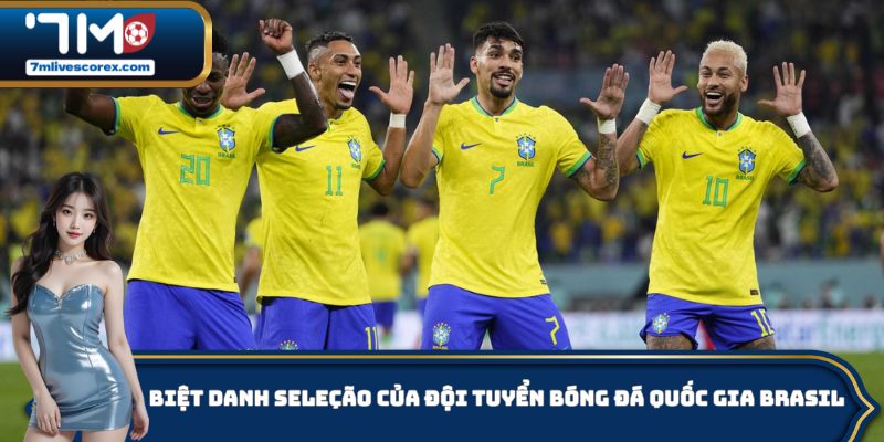 Biệt danh Seleção của đội tuyển bóng đá quốc gia Brasil