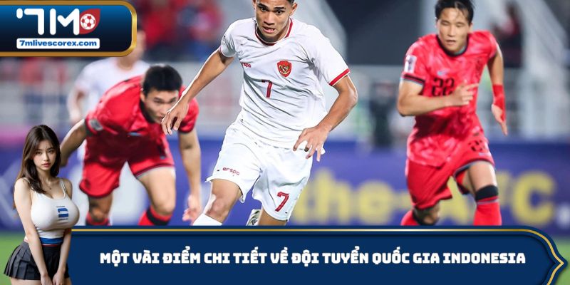 Thông tin chi tiết về đội tuyển bóng đá quốc gia Indonesia