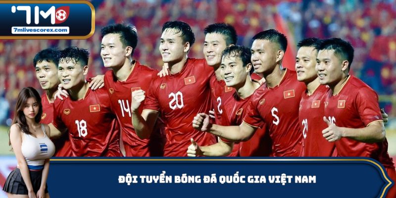 Đội Tuyển Bóng Đá Quốc Gia Việt Nam