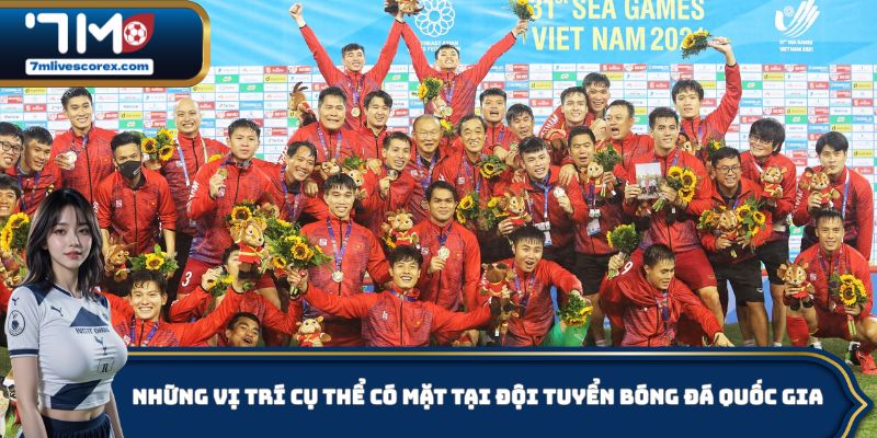 Những vị trí cụ thể có mặt tại đội tuyển bóng đá quốc gia