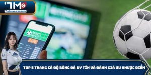 trang cá độ bóng đá