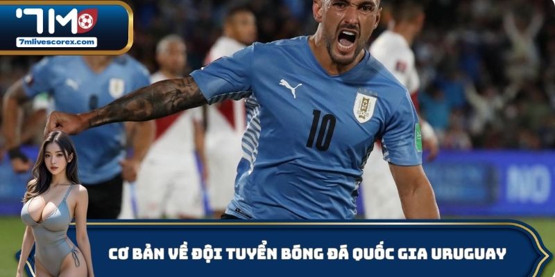 Cơ bản về đội tuyển bóng đá quốc gia Uruguay
