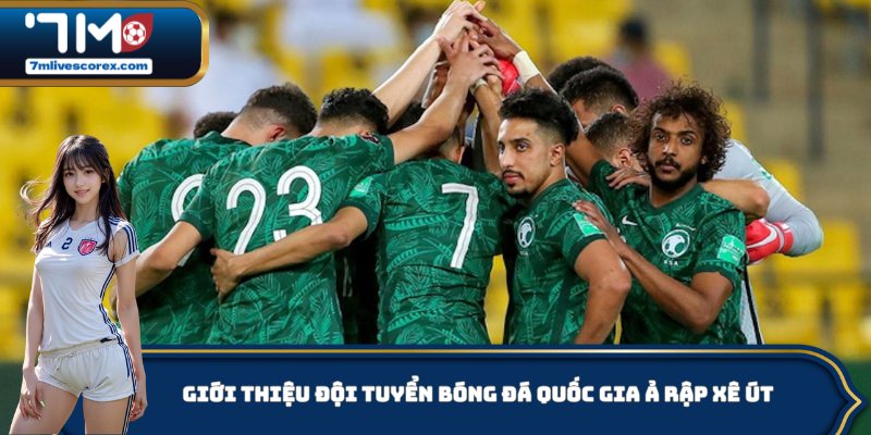 Giới thiệu khái quát về đội tuyển bóng đá quốc gia Ả Rập Xê Út